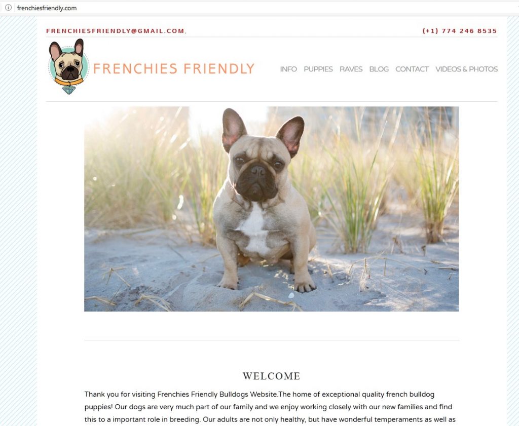 frenchiesfriendly.com
